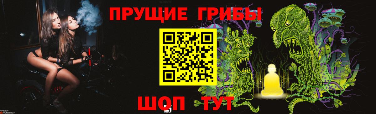 Галлюциногенные грибы Psilocybe  Вход с VPN  Берёзовский  Псилоцибиновые грибы Psilocybine cubensis 